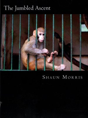 cover image of The Jumbled Ascent